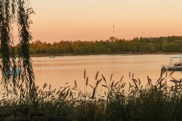 拍摄于 北京市 颐和园